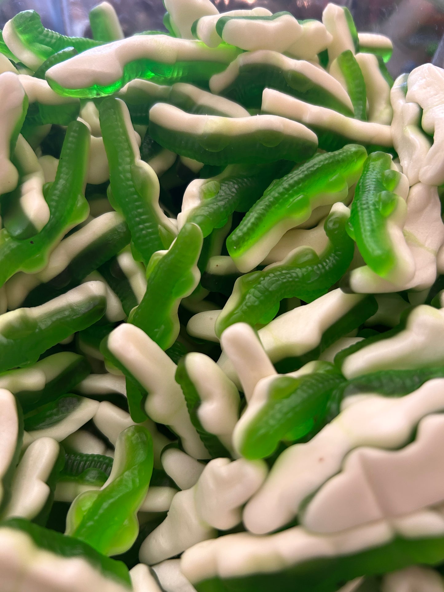 Gummy Crocodiles