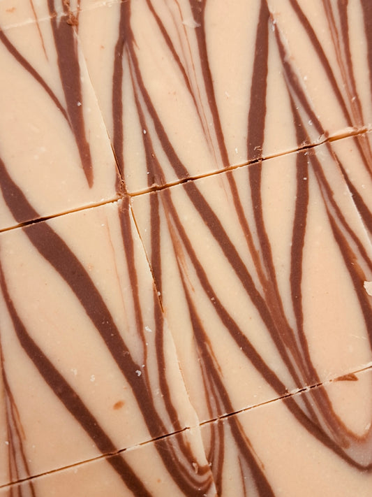 Peanut Butter Chocolate Fudge